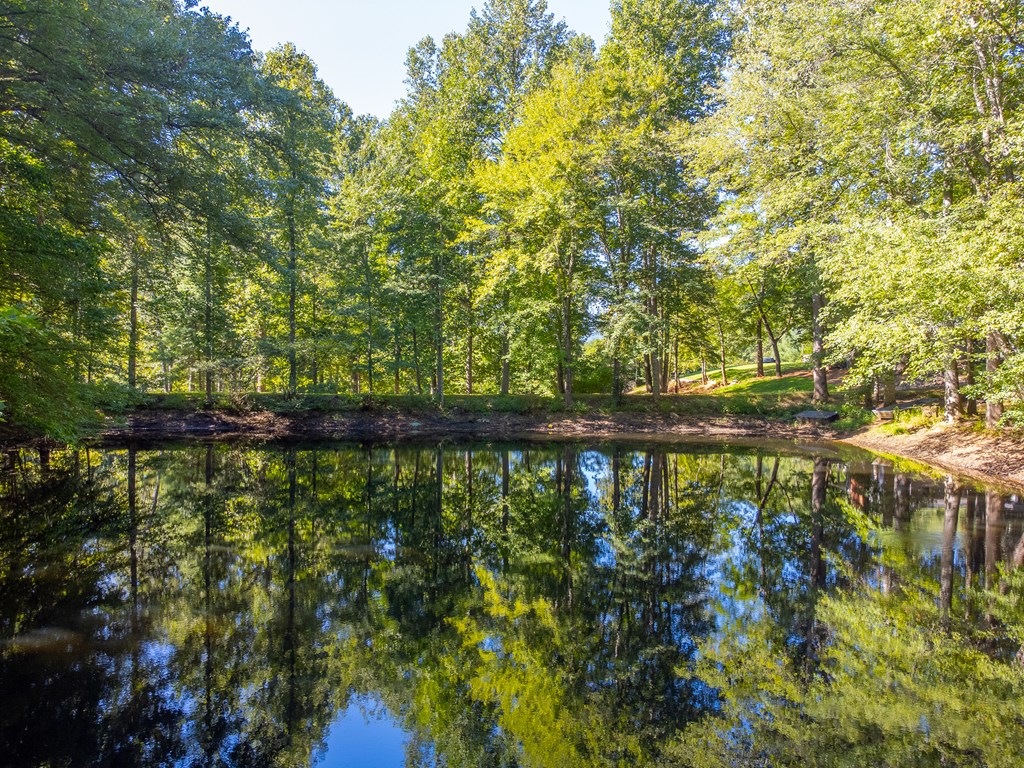 Lot 17 Pressley Circle Road