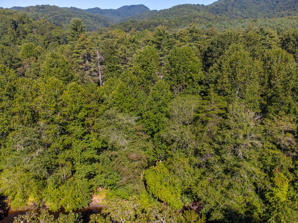 Lot 17 Pressley Circle Road