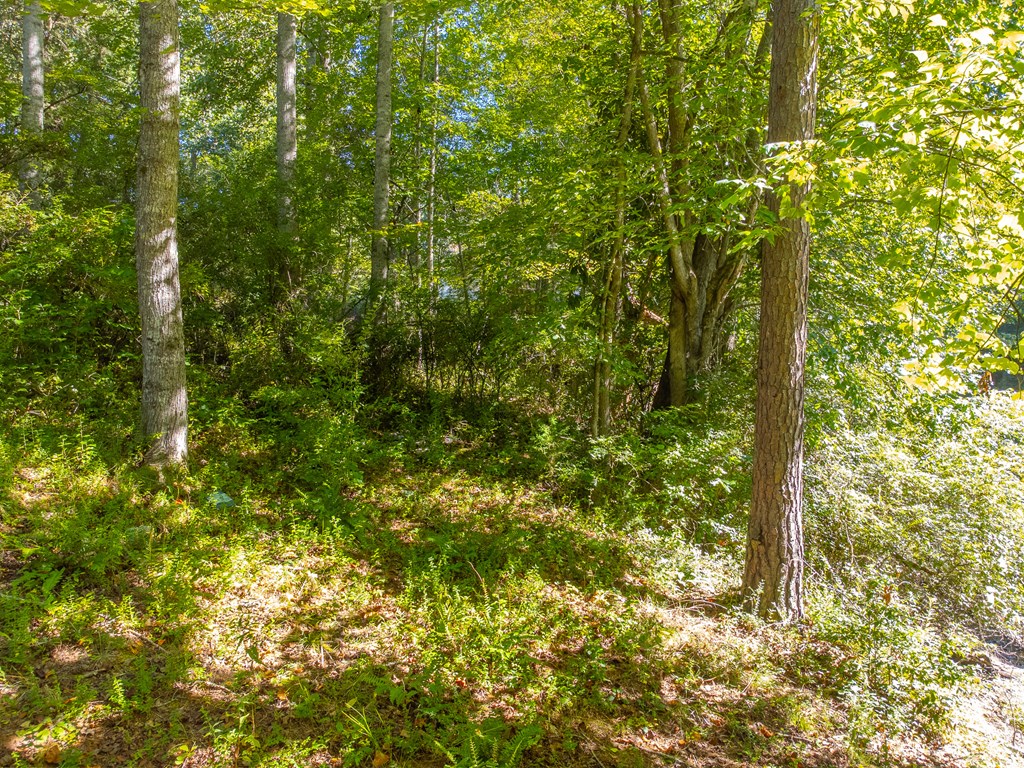 Lot 17 Pressley Circle Road