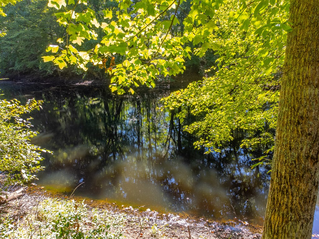 Lot 17 Pressley Circle Road