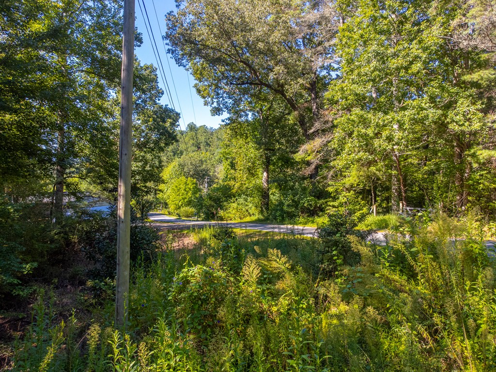 Lot 17 Pressley Circle Road