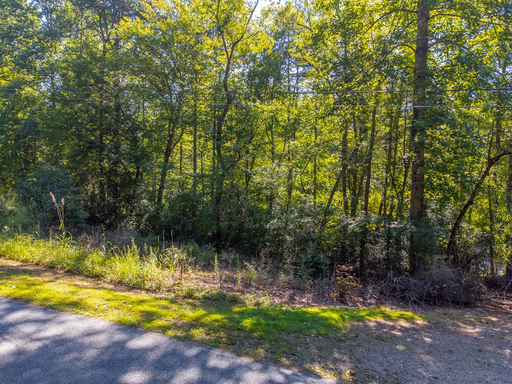 Lot 17 Pressley Circle Road