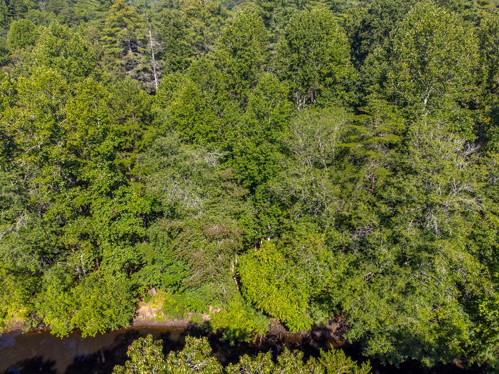 Lot 17 Pressley Circle Road