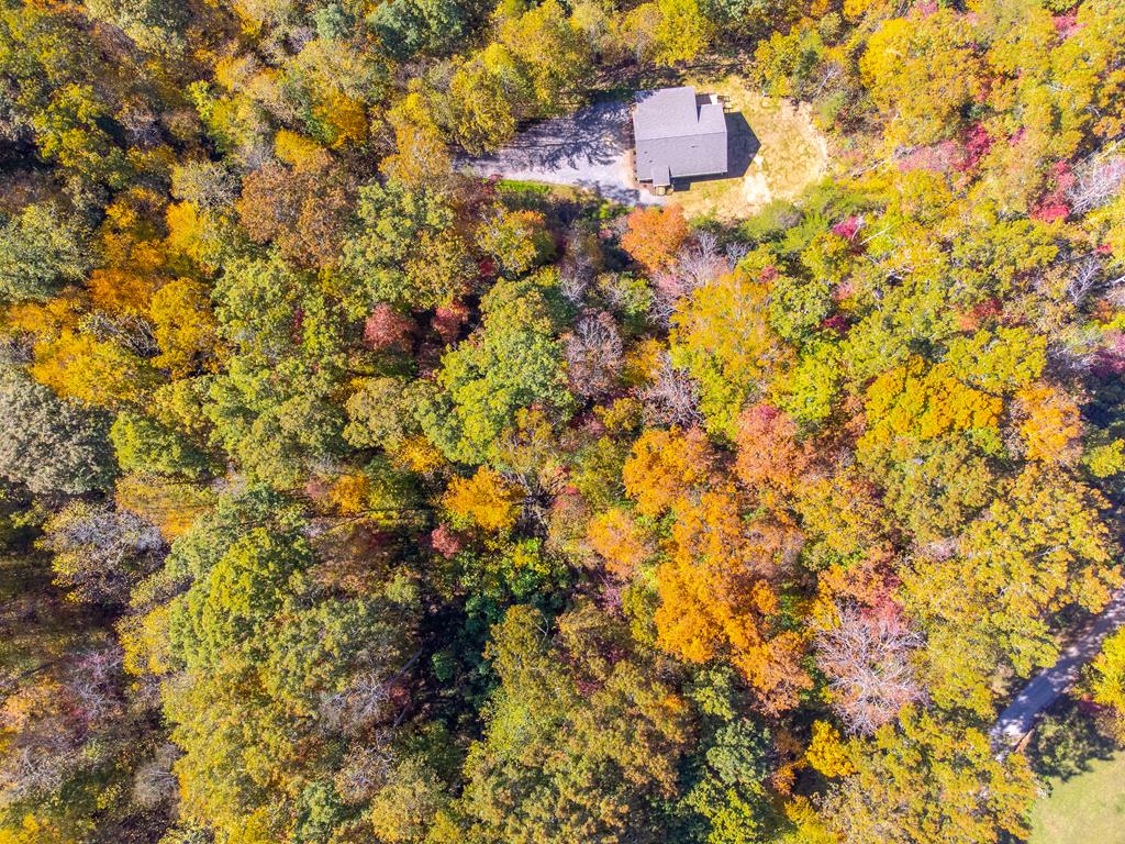 241 Fallen Oak Dr, Sylva