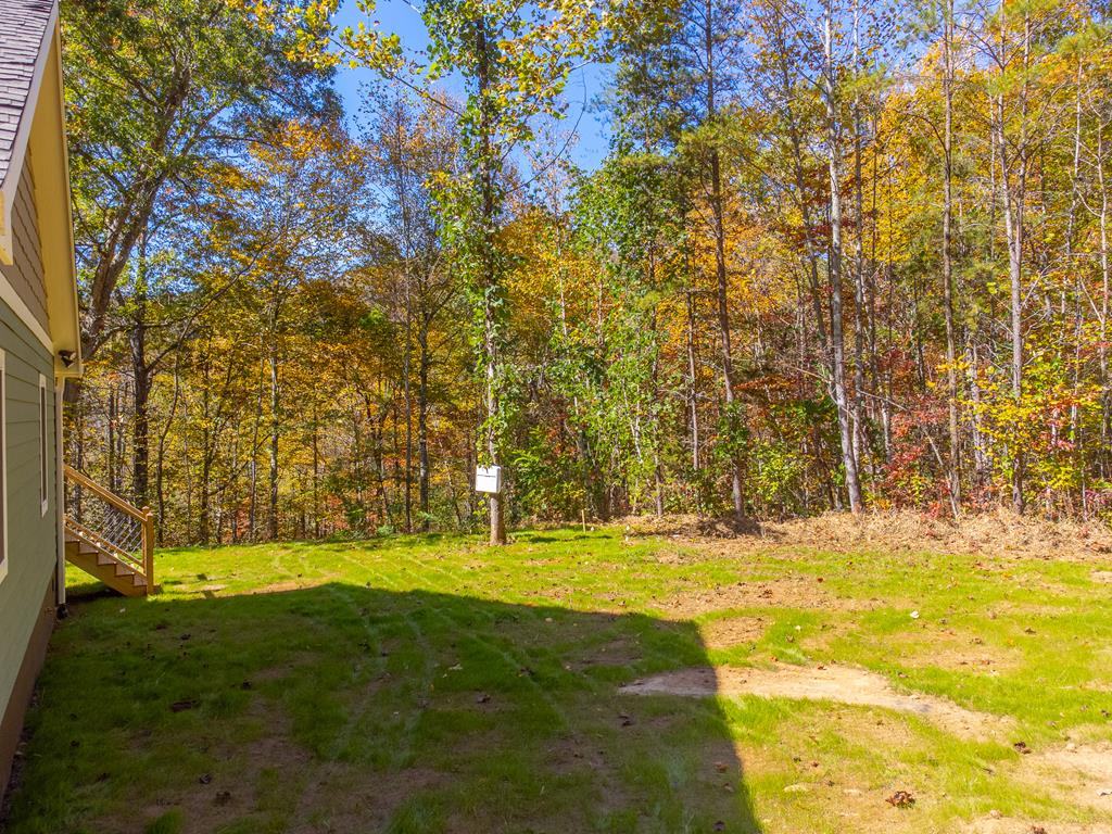 241 Fallen Oak Dr, Sylva