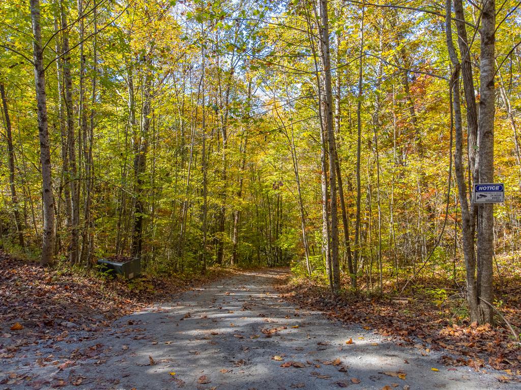 241 Fallen Oak Dr, Sylva