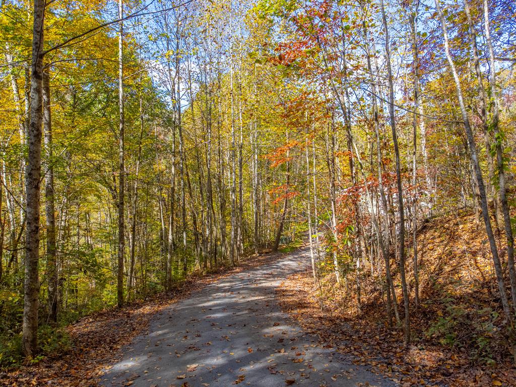 241 Fallen Oak Dr, Sylva