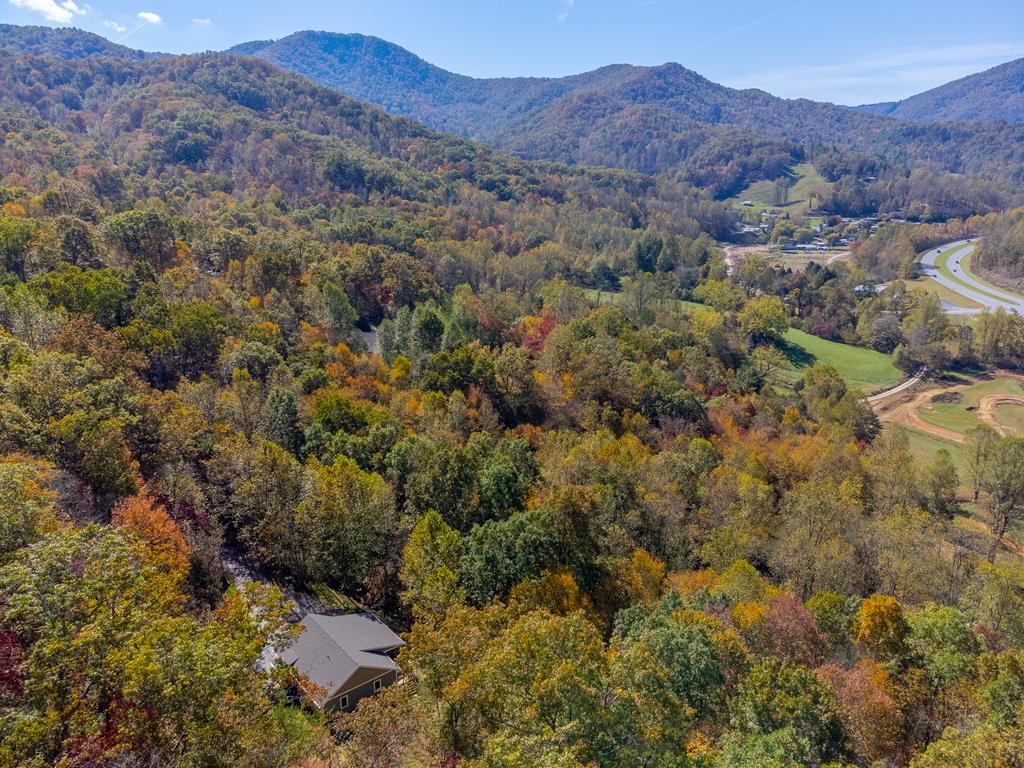 241 Fallen Oak Dr, Sylva