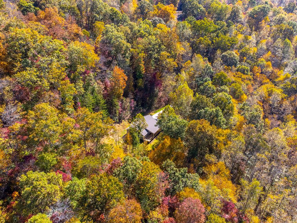 241 Fallen Oak Dr, Sylva