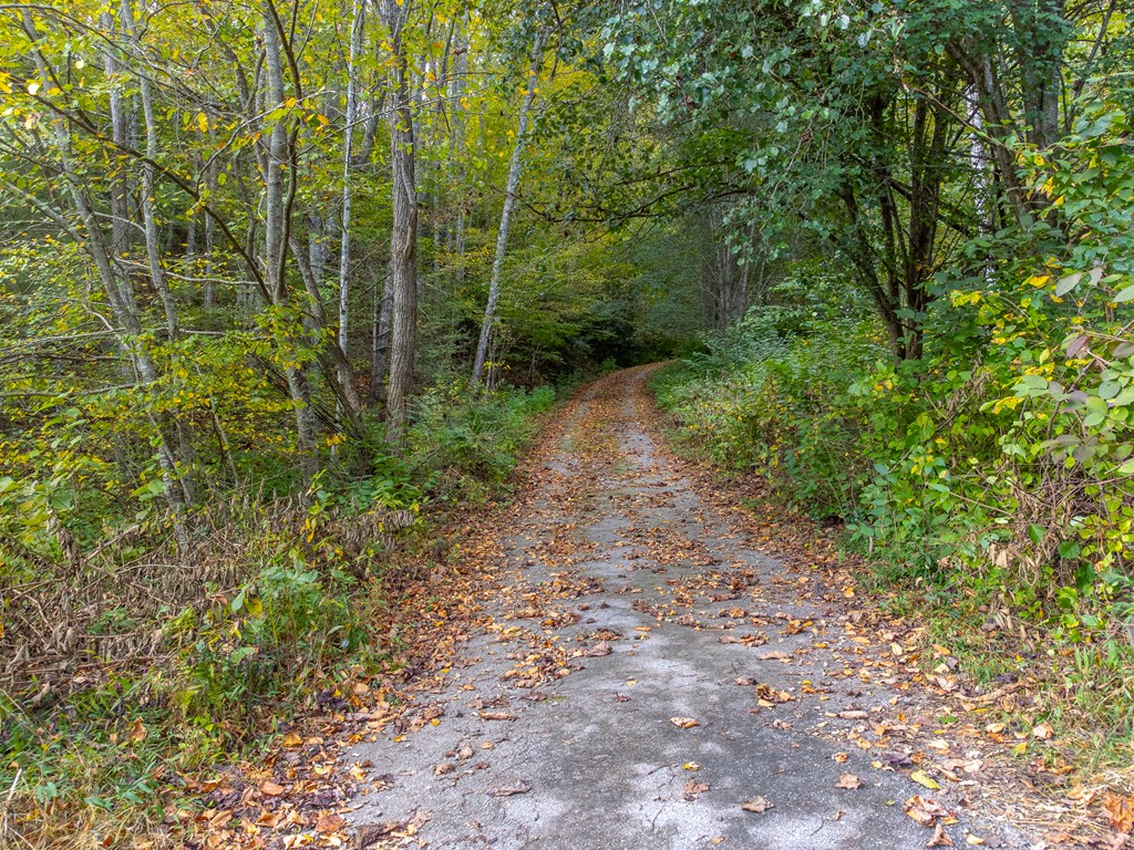 197 Savannah Meadows Trl, Sylva