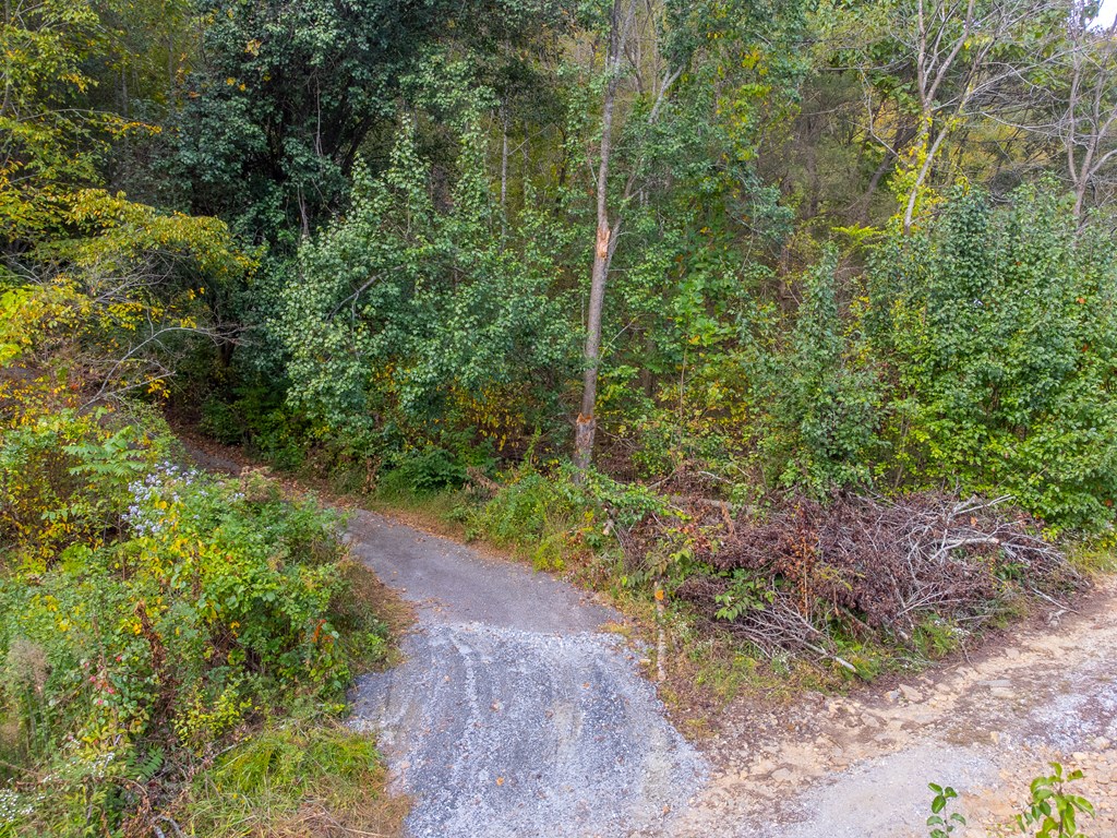 197 Savannah Meadows Trl, Sylva