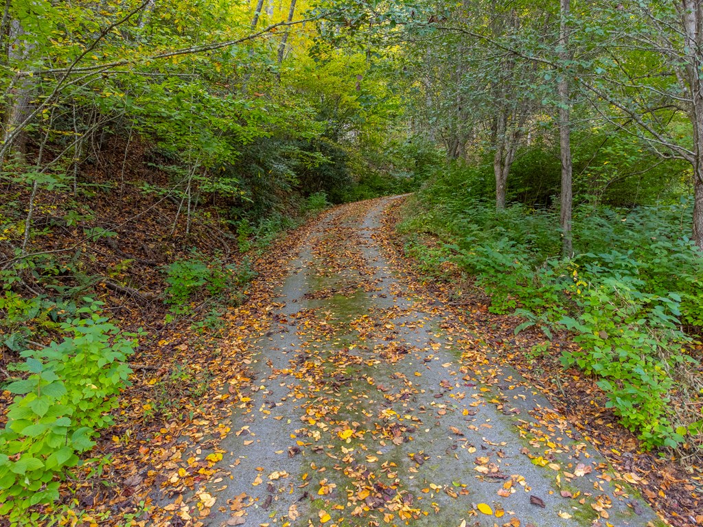 197 Savannah Meadows Trl, Sylva