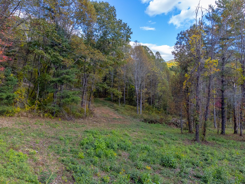 8125 Ellijay Road, Franklin