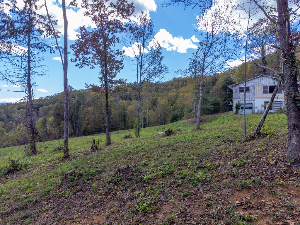8125 Ellijay Road, Franklin