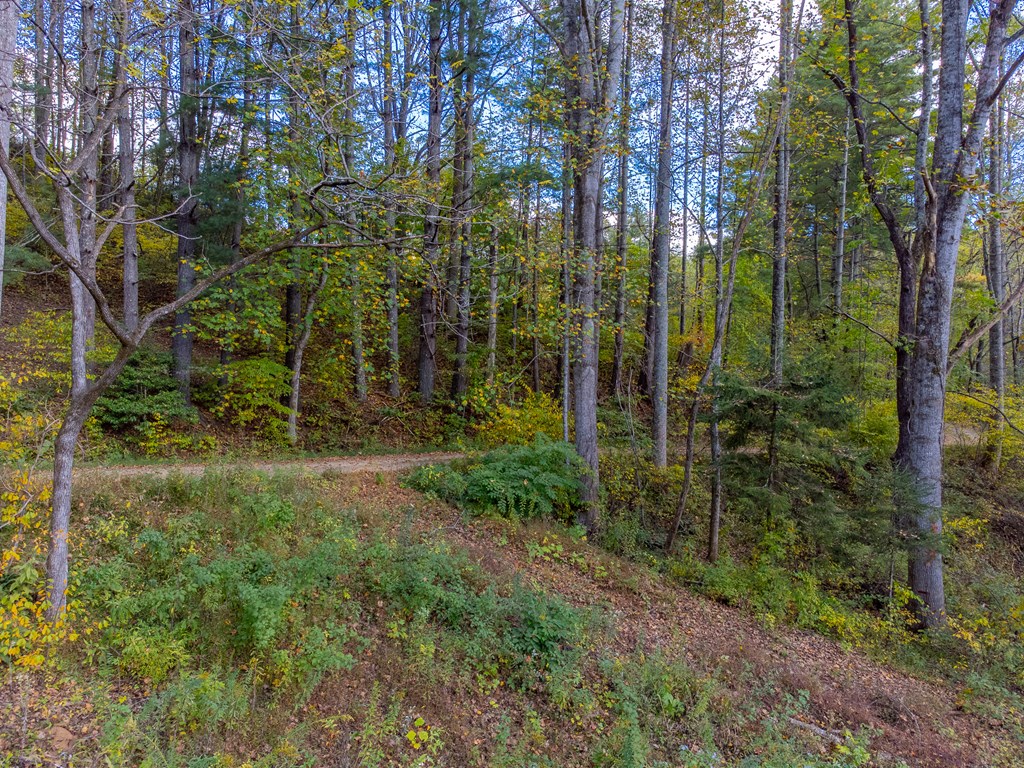 8125 Ellijay Road, Franklin