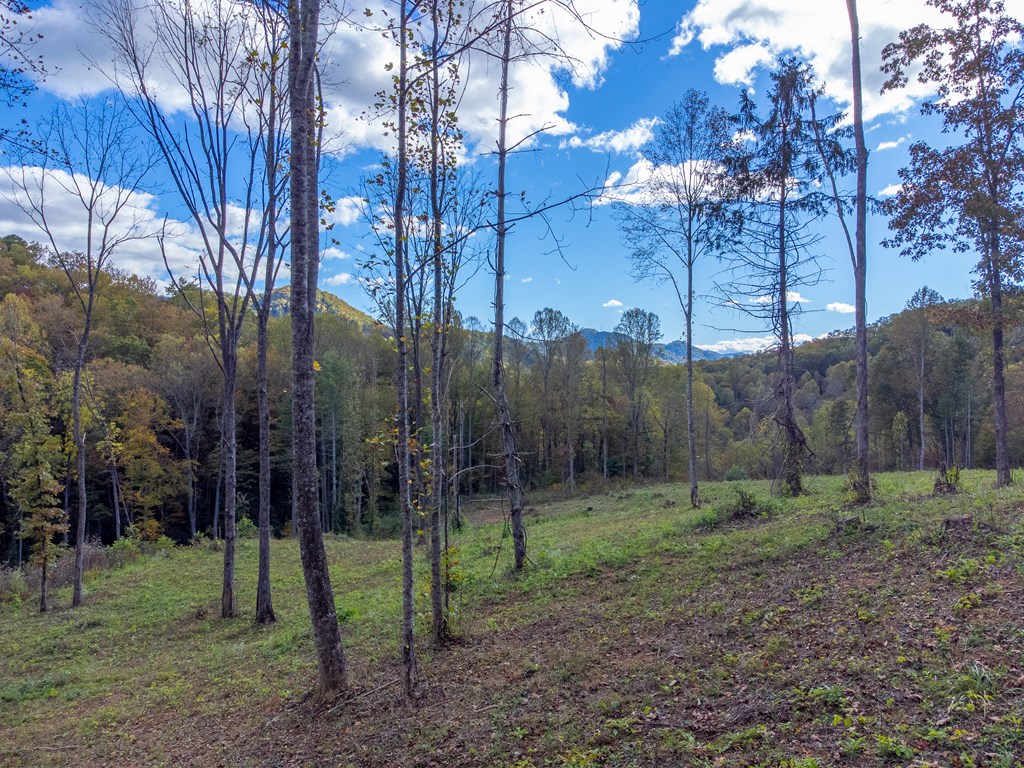 8125 Ellijay Road, Franklin