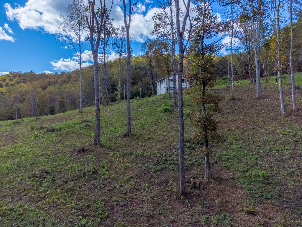 8125 Ellijay Road, Franklin