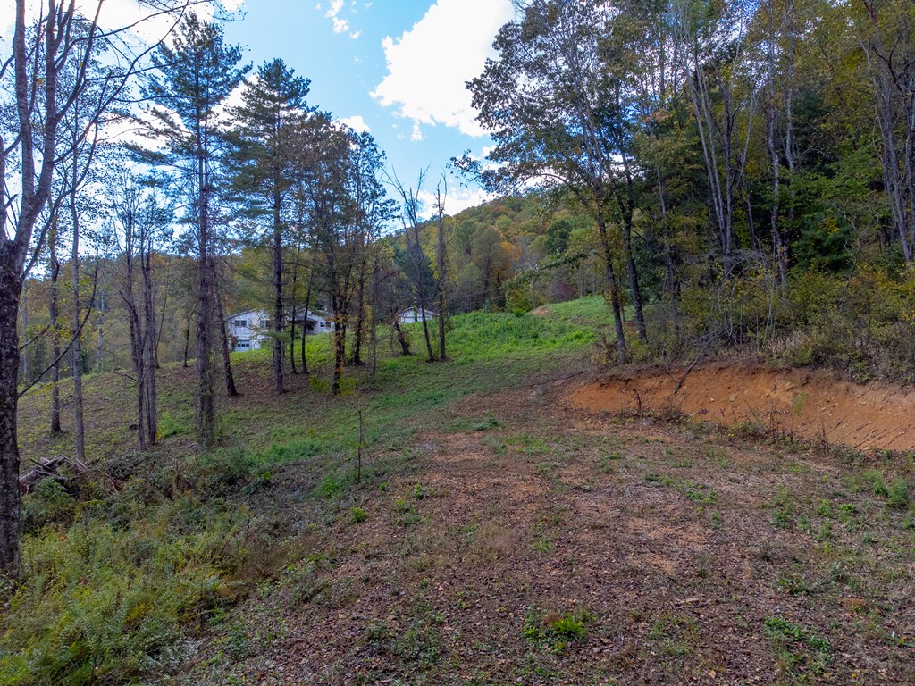 8125 Ellijay Road, Franklin