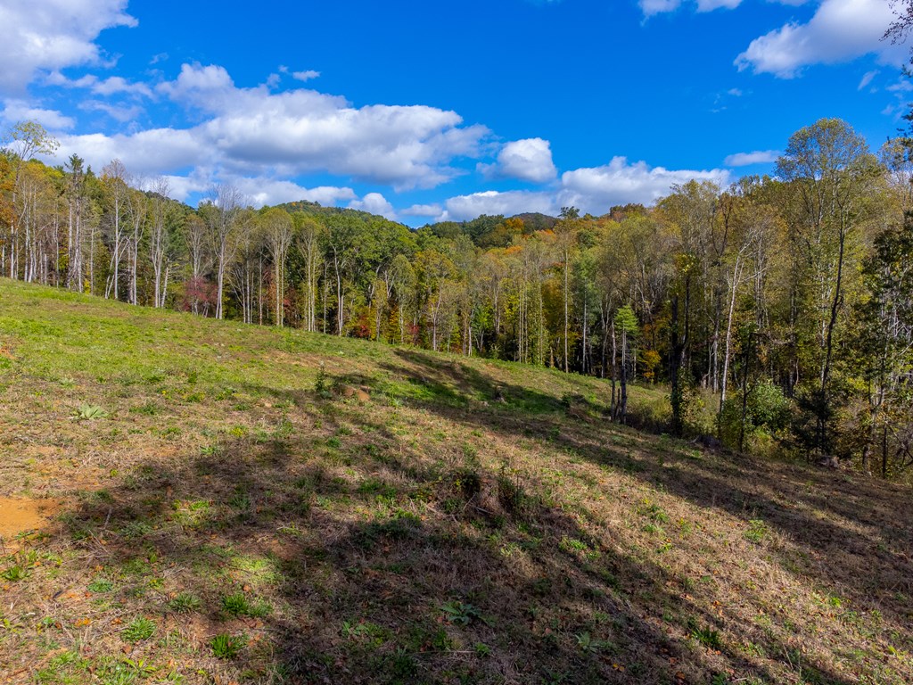 8125 Ellijay Road, Franklin