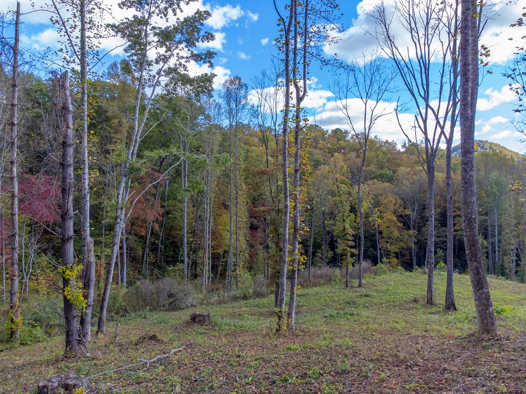 8125 Ellijay Road, Franklin