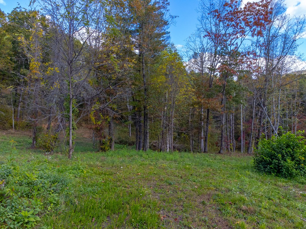 8125 Ellijay Road, Franklin