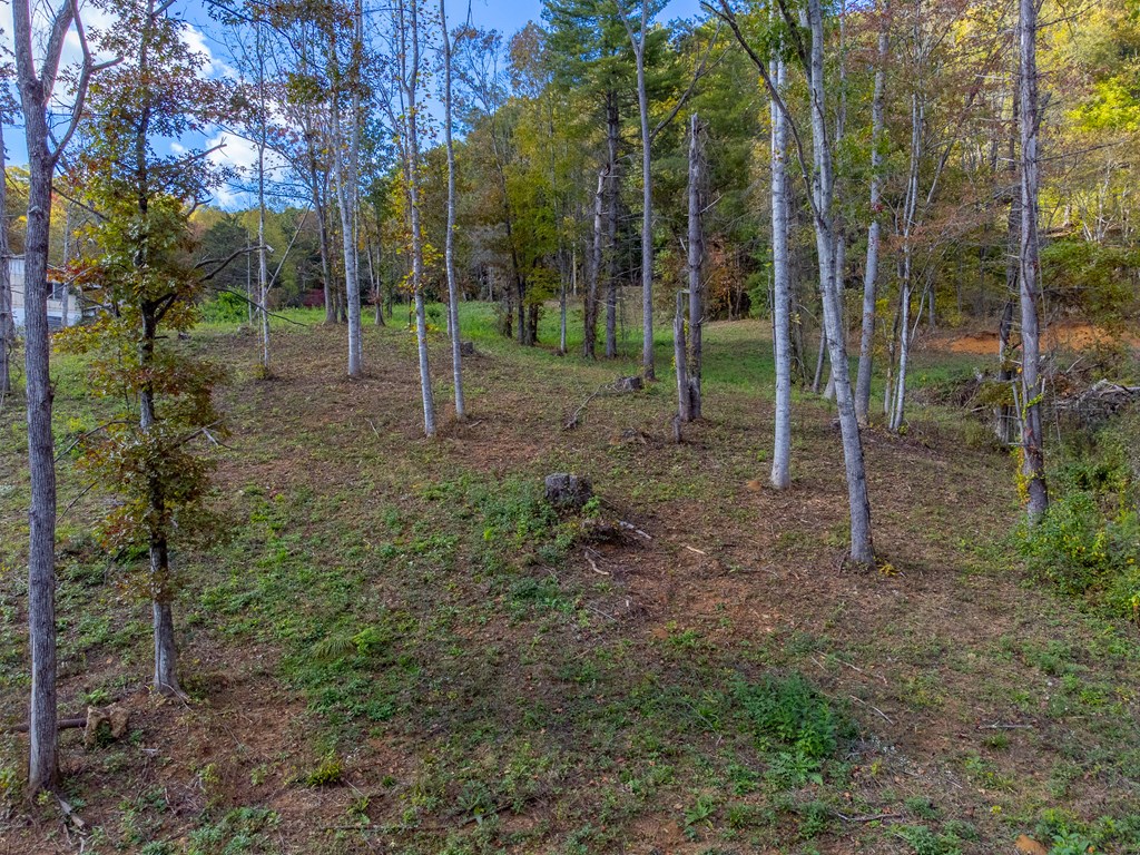 8125 Ellijay Road, Franklin