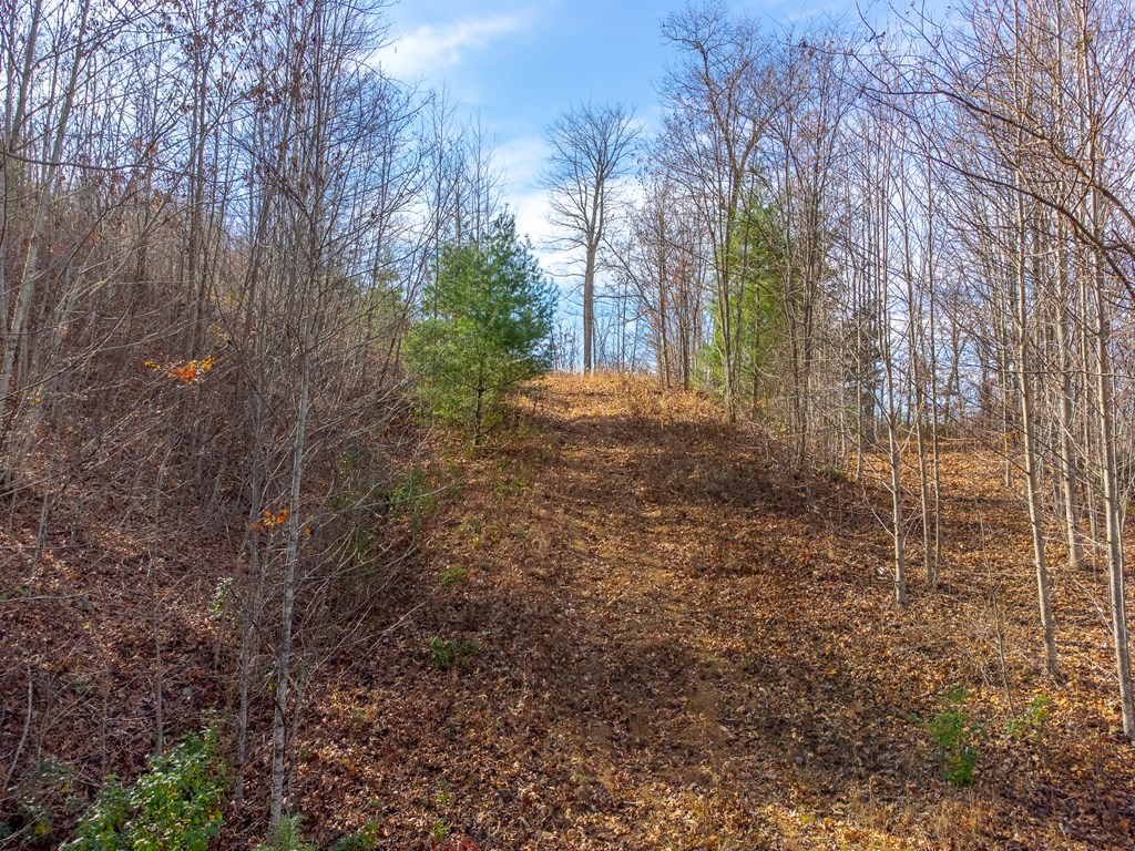 00 Garnet Ridge Preserve