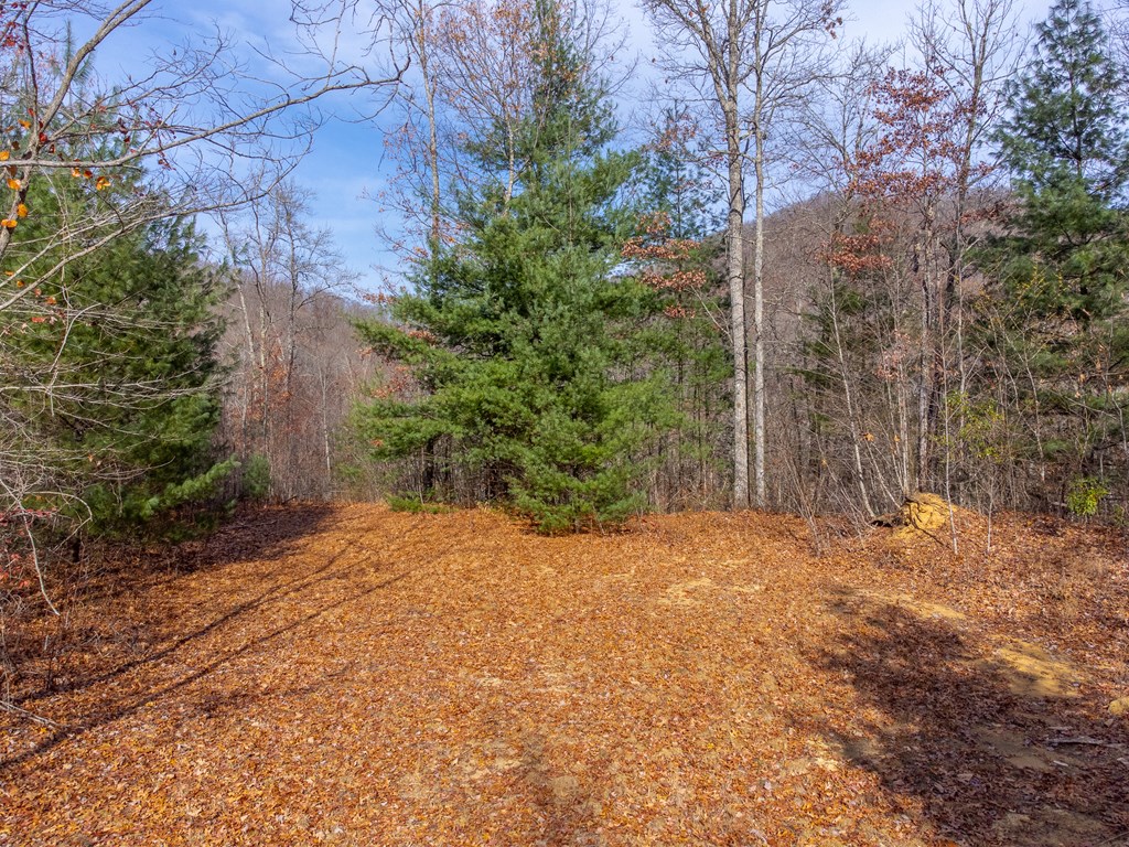 00 Garnet Ridge Preserve