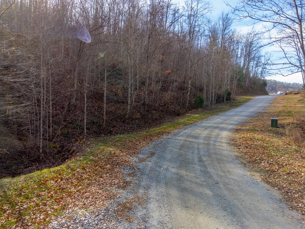 00 Garnet Ridge Preserve