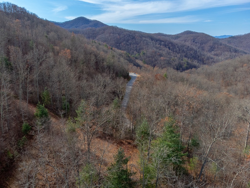 00 Garnet Ridge Preserve