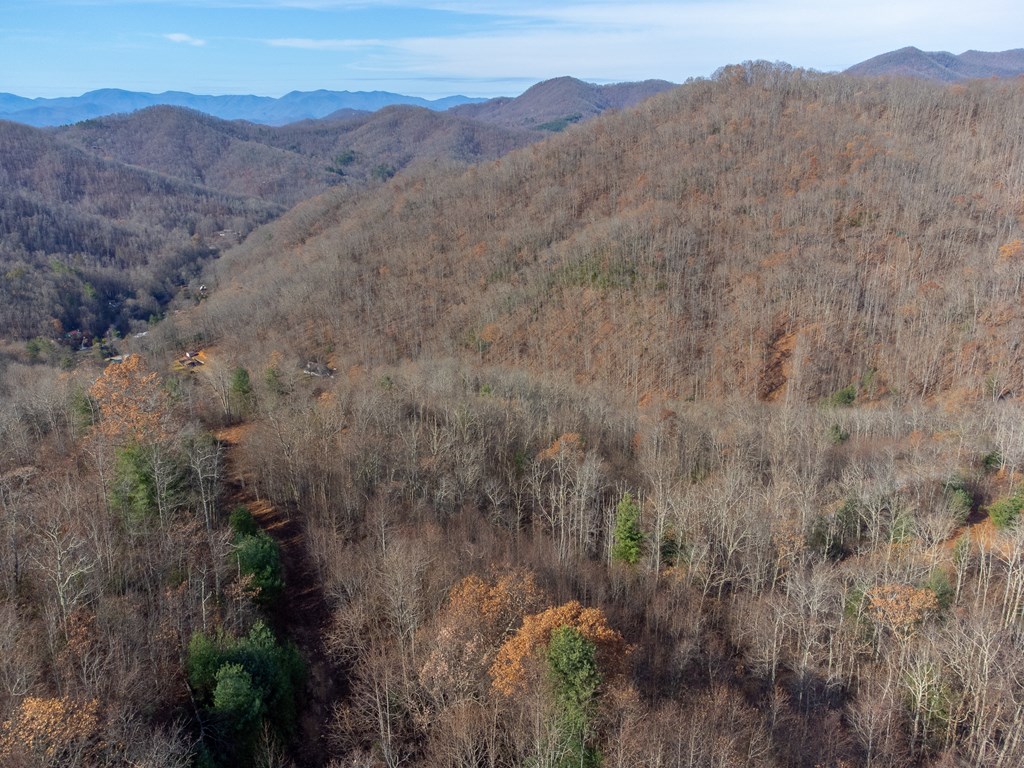 00 Garnet Ridge Preserve