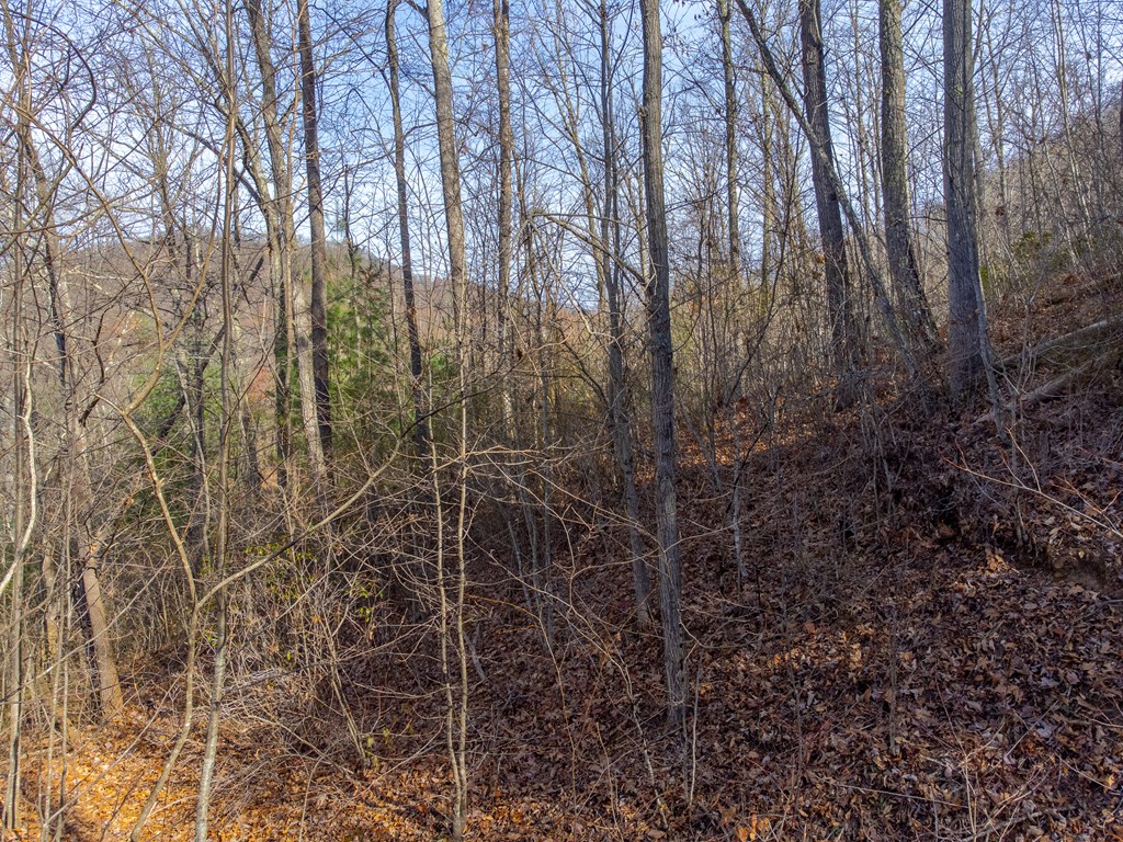 00 Garnet Ridge Preserve