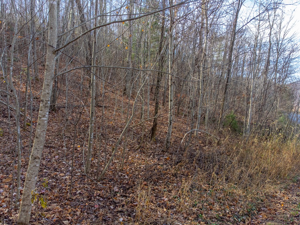 00 Garnet Ridge Preserve