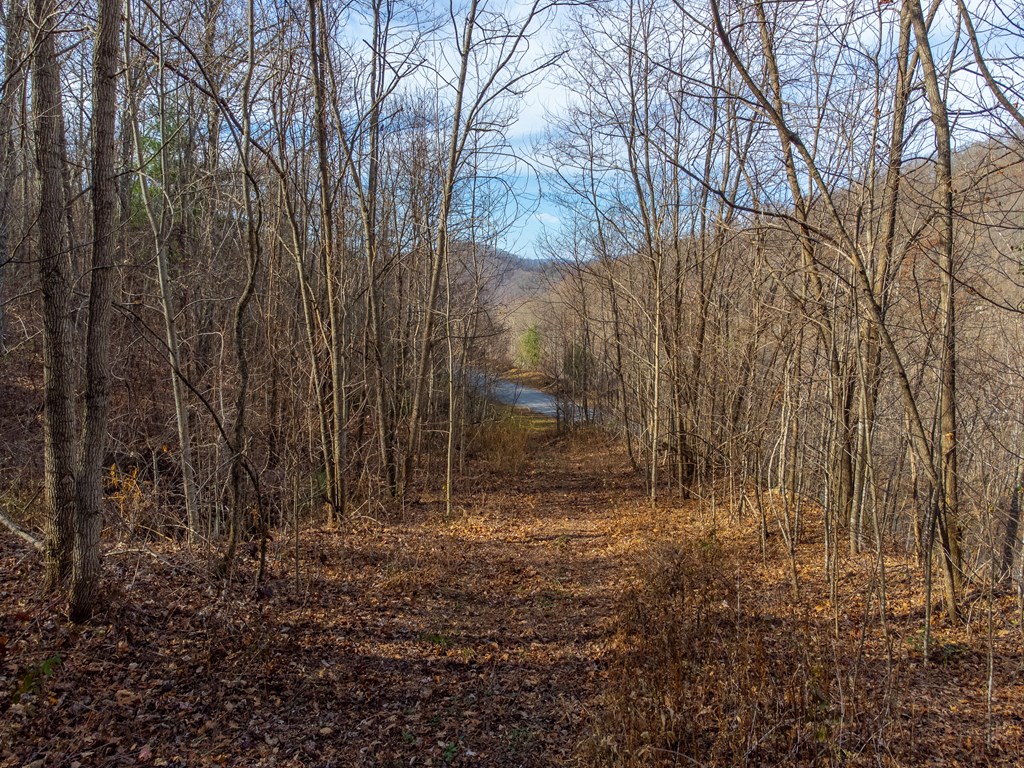 00 Garnet Ridge Preserve
