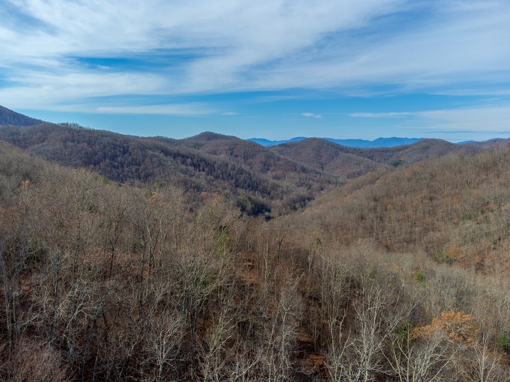 00 Garnet Ridge Preserve