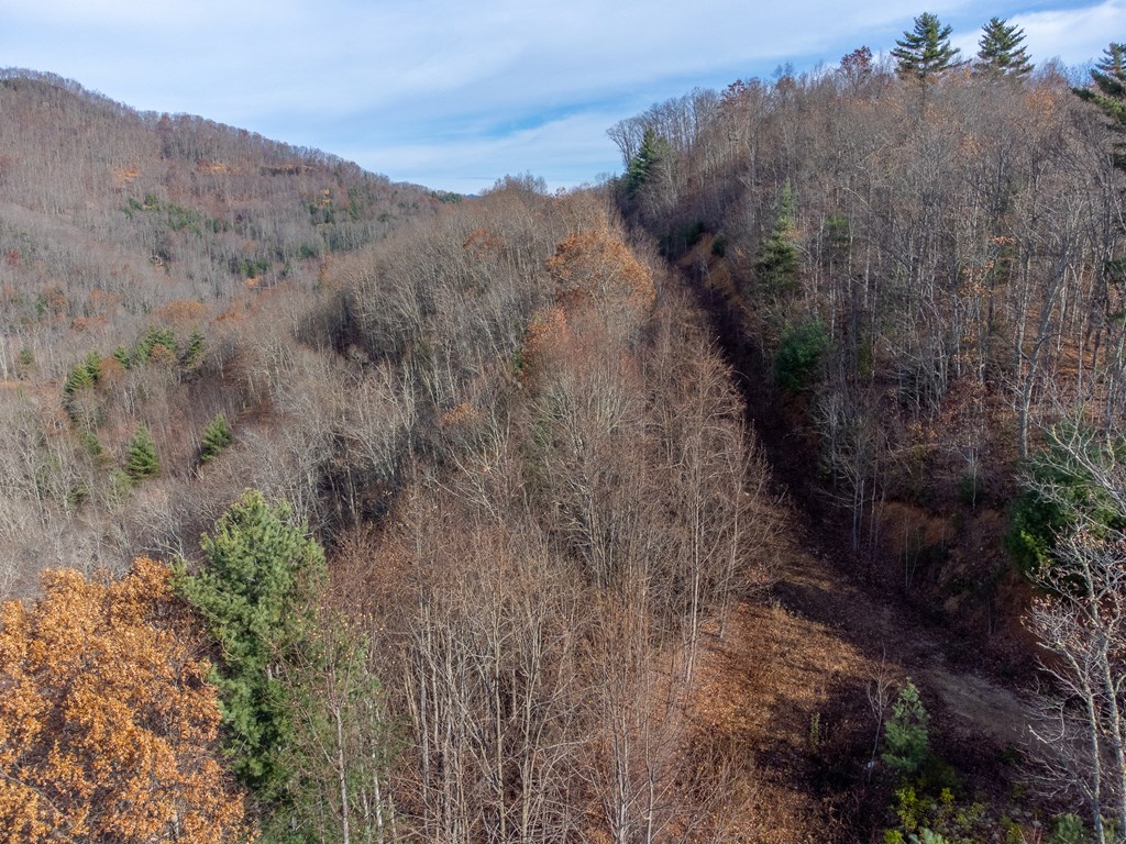 00 Garnet Ridge Preserve