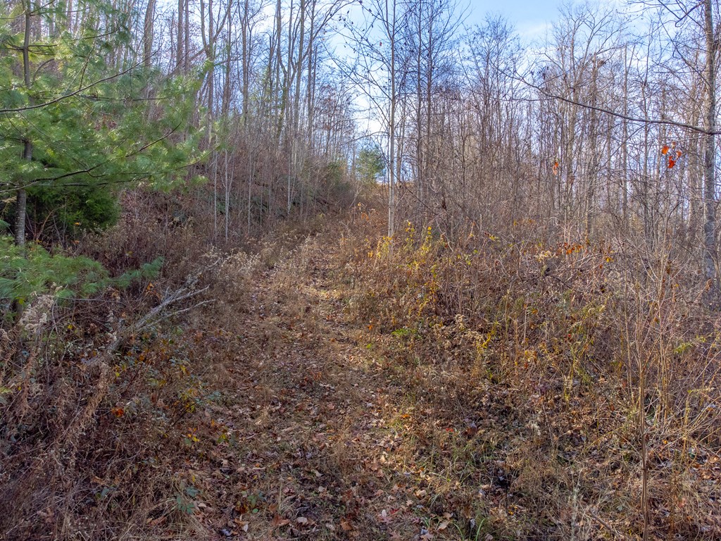 00 Garnet Ridge Preserve