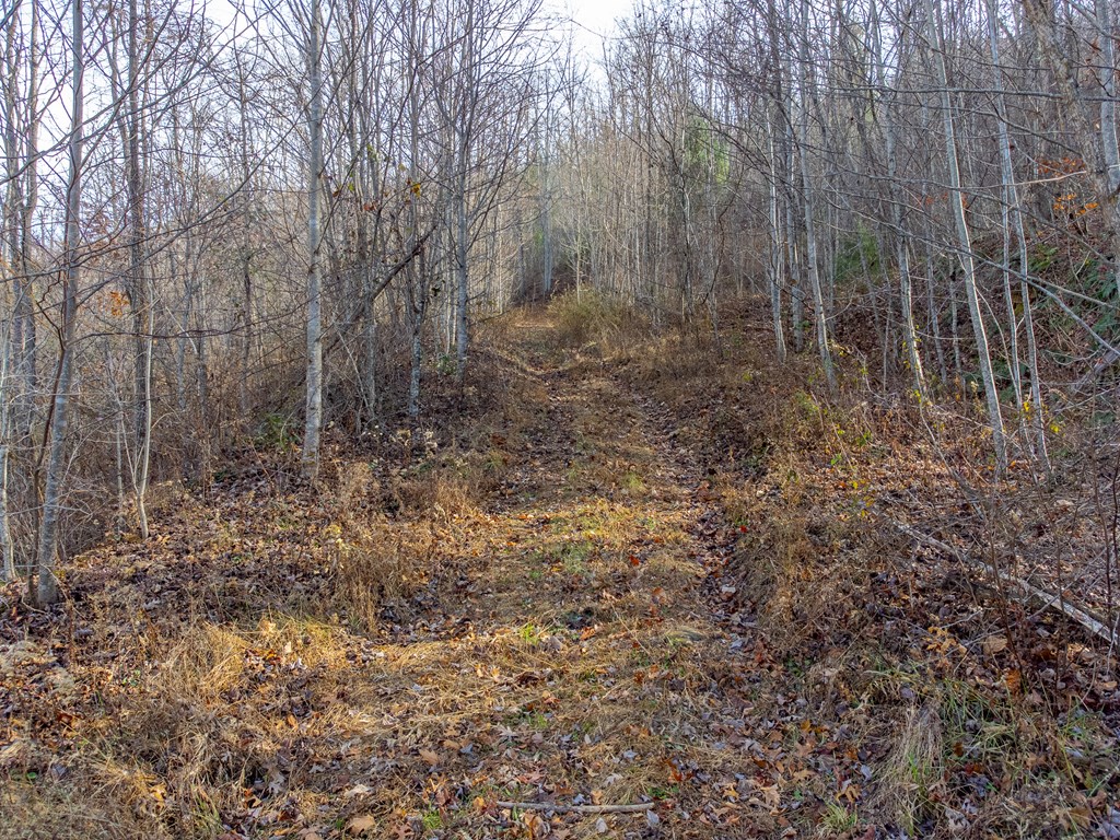 00 Garnet Ridge Preserve