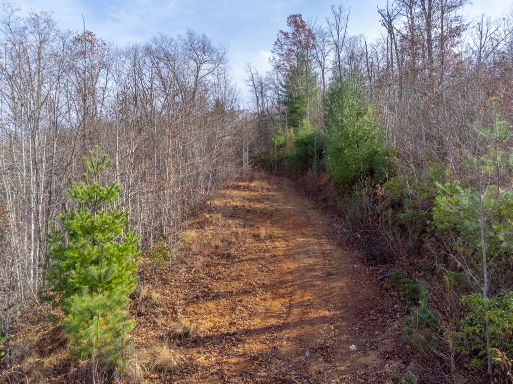 00 Garnet Ridge Preserve