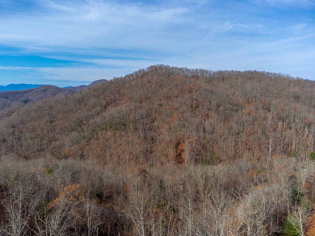 00 Garnet Ridge Preserve