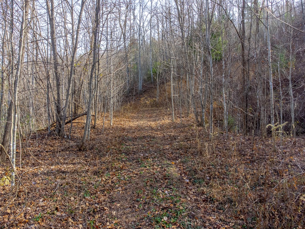 00 Garnet Ridge Preserve