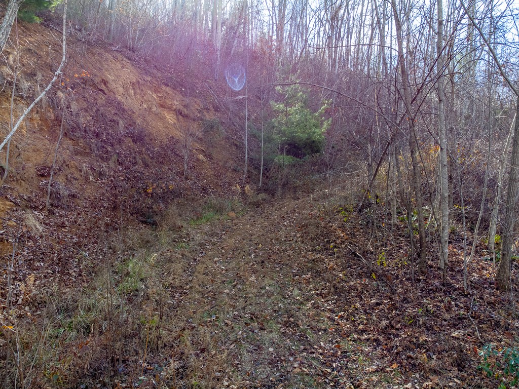 00 Garnet Ridge Preserve