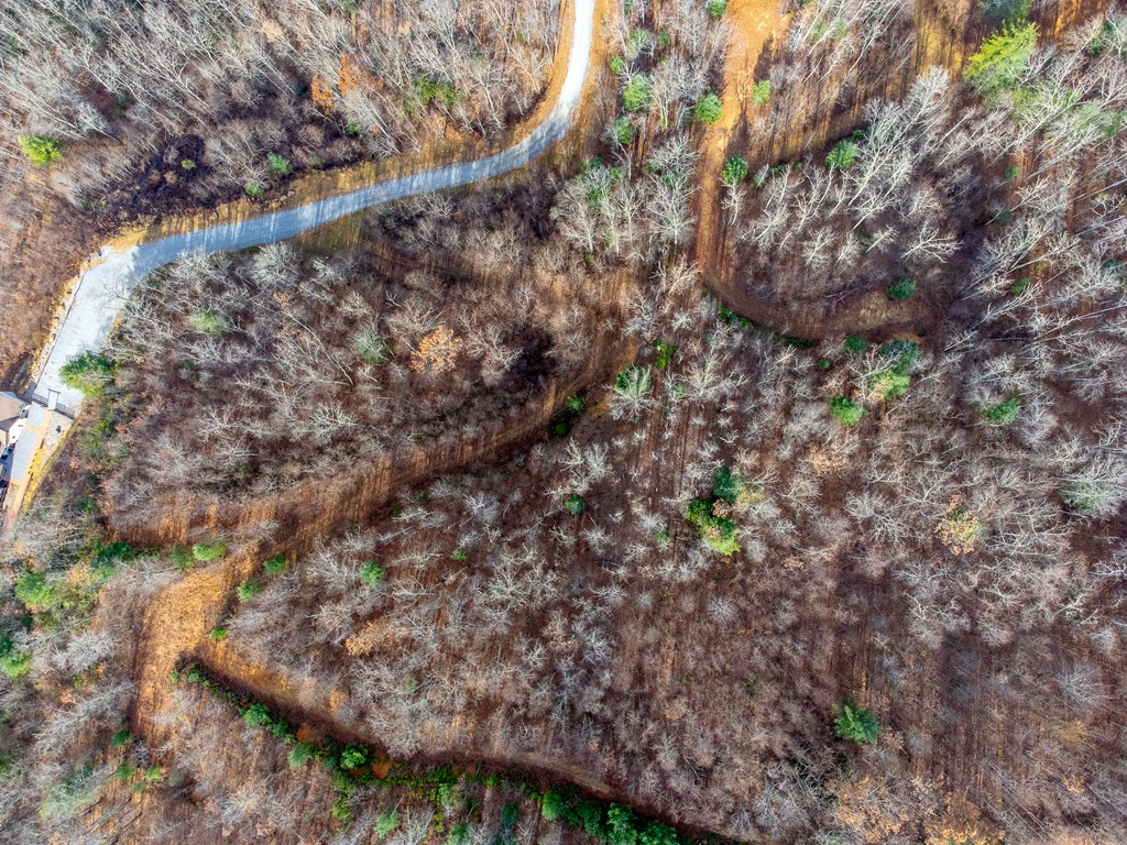 00 Garnet Ridge Preserve