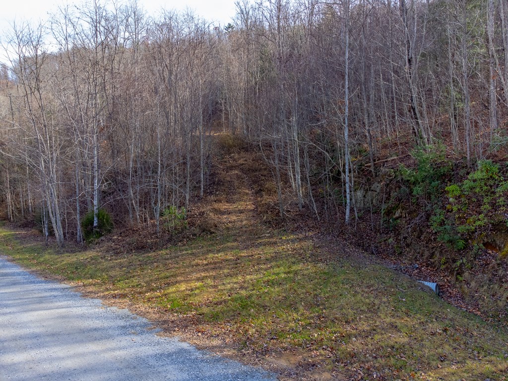 00 Garnet Ridge Preserve