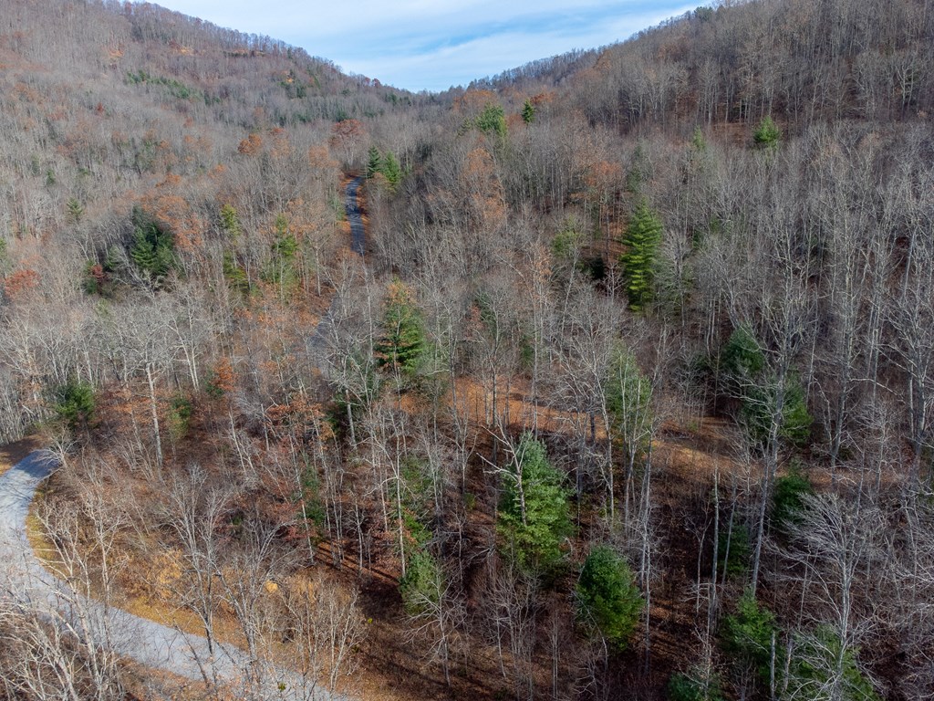 00 Garnet Ridge Preserve