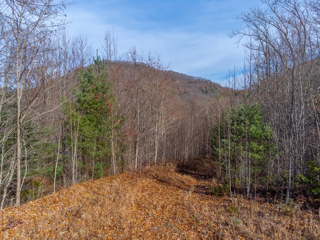 00 Garnet Ridge Preserve