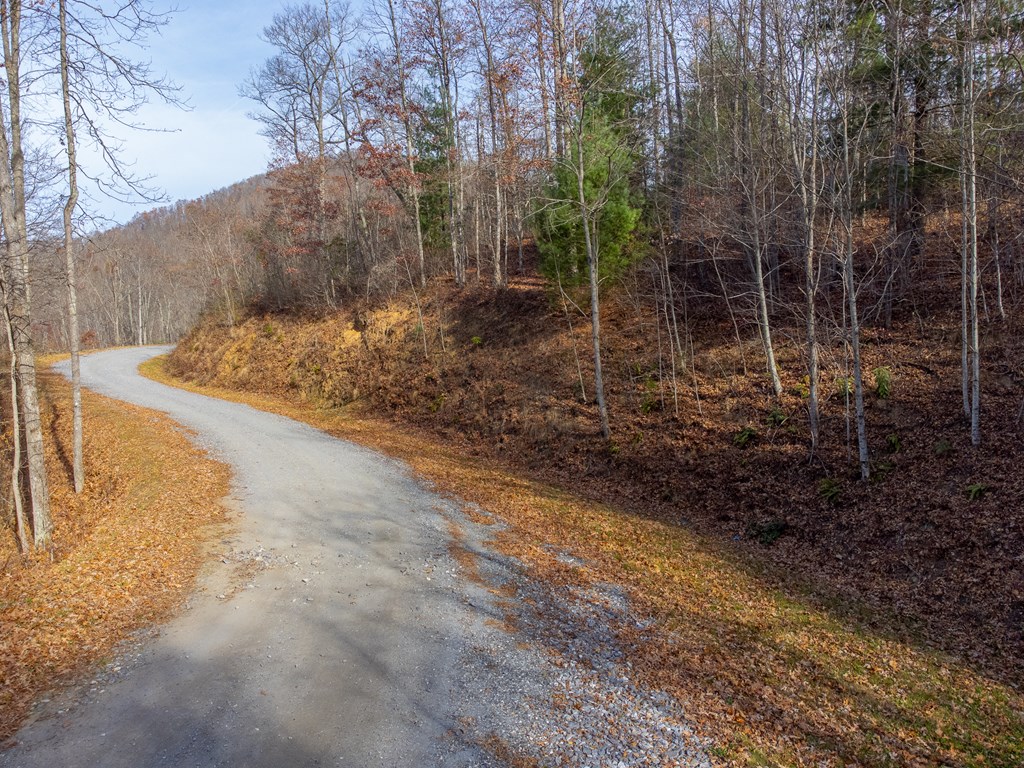 00 Garnet Ridge Preserve