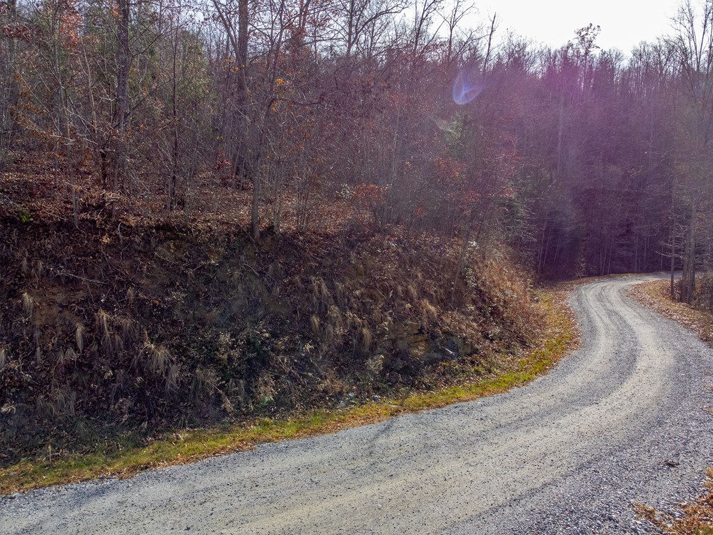 00 Garnet Ridge Preserve