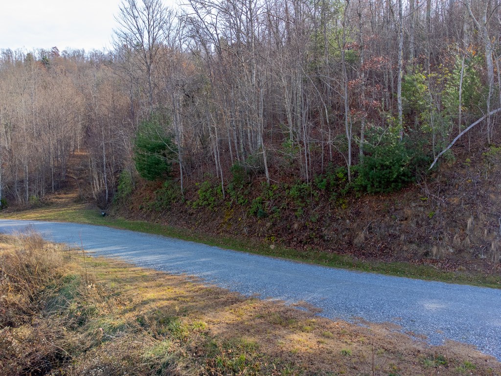 00 Garnet Ridge Preserve