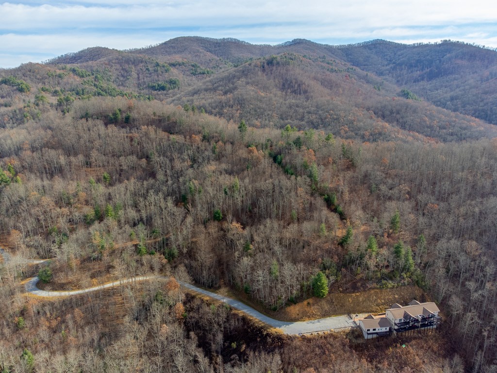 00 Garnet Ridge Preserve